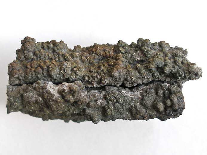 Ichnofossile: terrier pyritis jurassique Boulonnais
